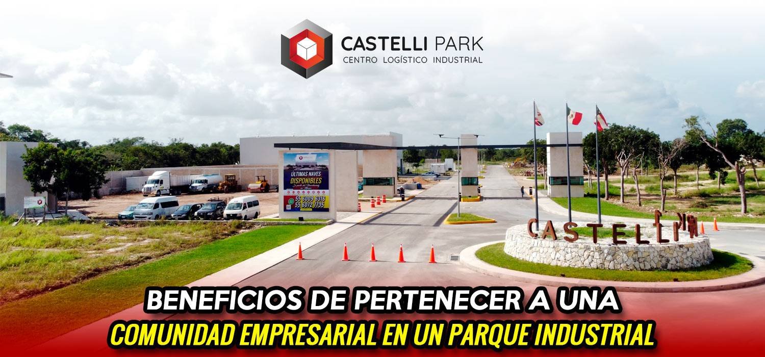 Articulo 19 | Castelli Park
