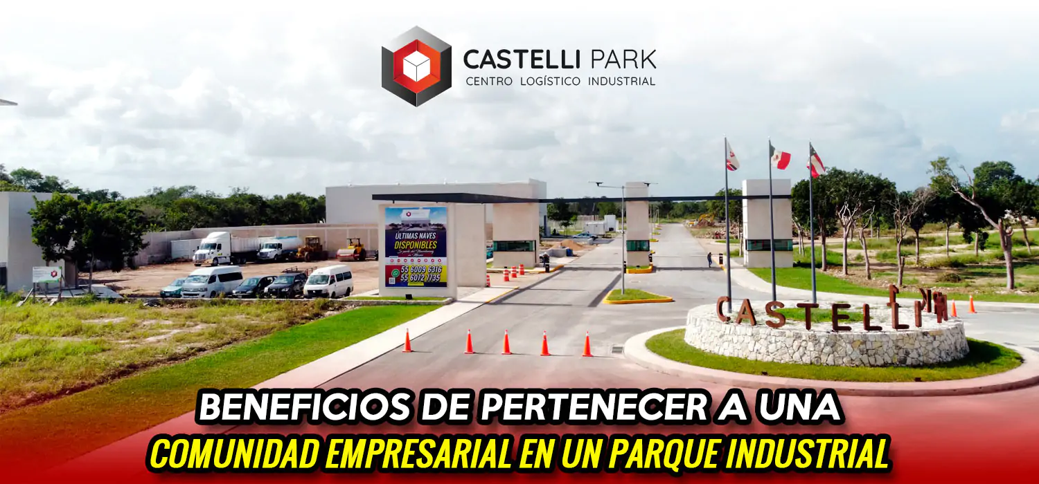 Articulo 19 | Castelli Park Mérida