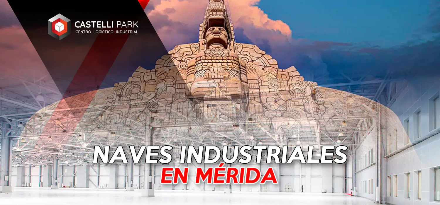 Articulo 29 | Castelli Park Mérida